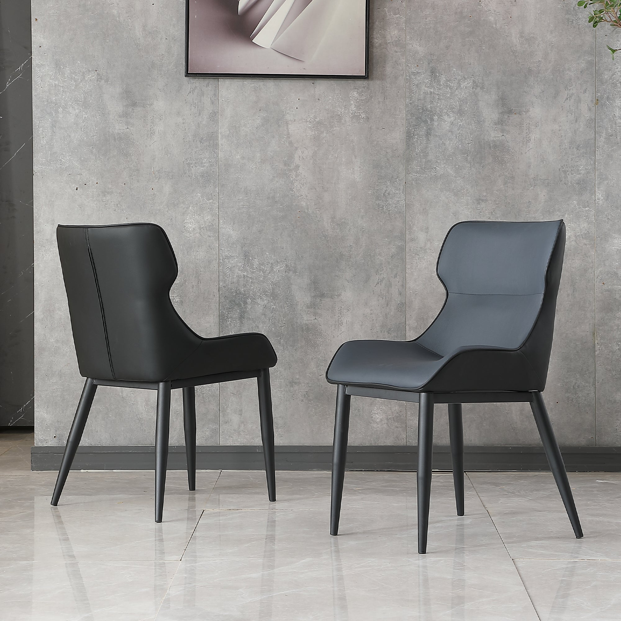 Dining Chairs Set of 2